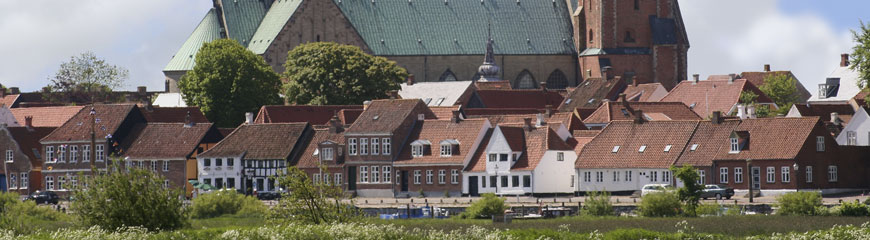 ribe1.jpg